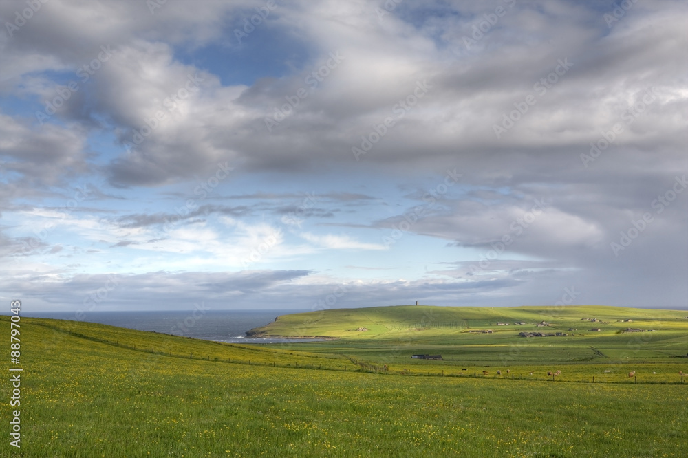 The sunny green landscape of Orkney in summer
