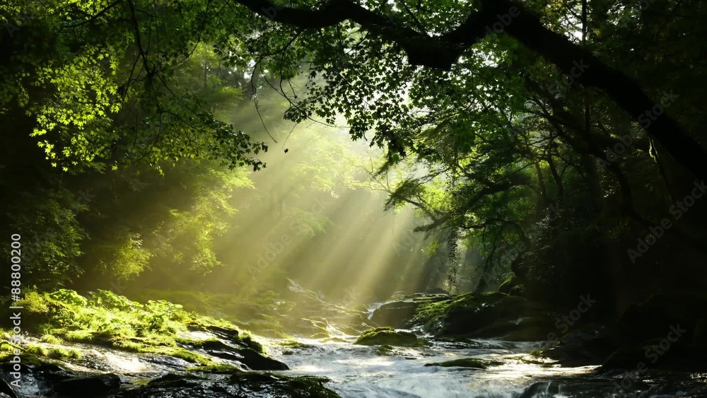 熊本の菊池渓谷　光芒動画