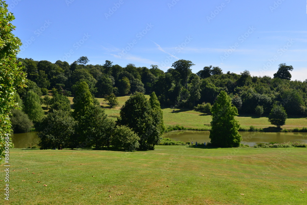 Woodland at an English country estate in August. Woodland at an English country estate in August.