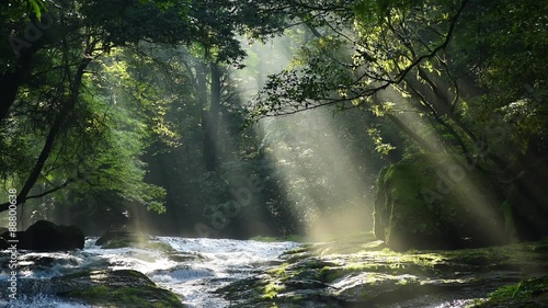 熊本の菊池渓谷　光芒動画
