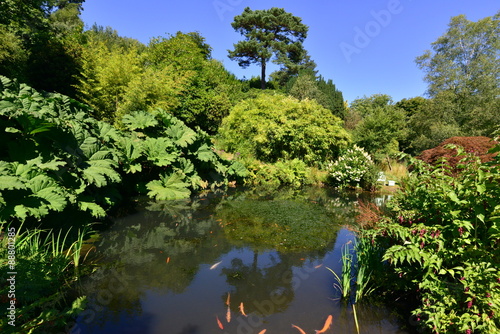 An English country estate with a pond on a hot summers day in August.