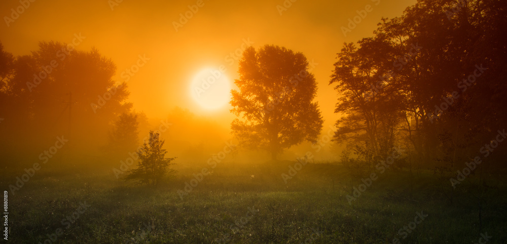 Sunrise on a Foggy Morning in the Meadow. Web Banner. Sunrise on a Foggy Morning in the Meadow. Web Banner.