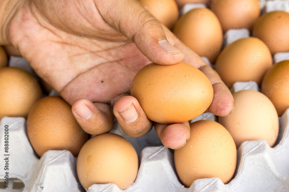 Eggs preserved in man hand and panel wholesale market Eggs preserved in man hand and panel wholesale market