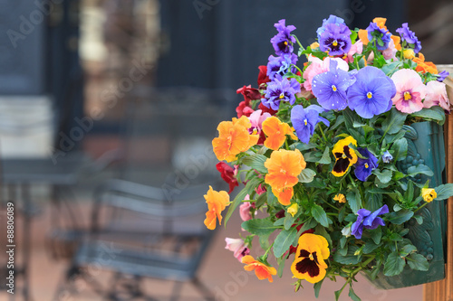 Various flowers in hanging baskets on a wall