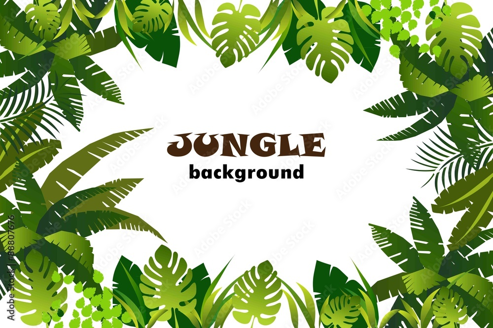 Obraz premium dżungla. tło. ilustracji wektorowych.