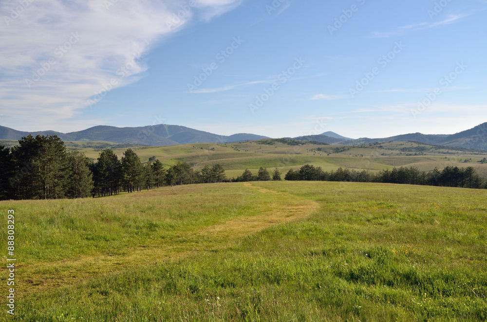 Path through green field to hills