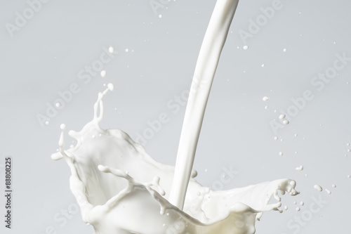 Fotografia Milk Splash