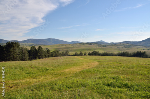 Path through green field to hills