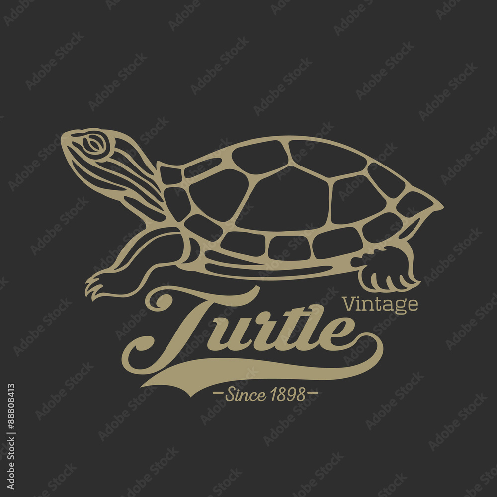Obraz premium turtle logo