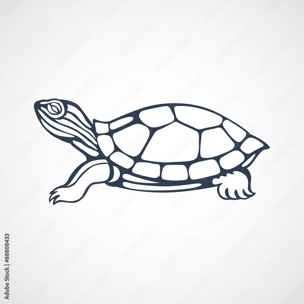 Obraz premium turtle logo