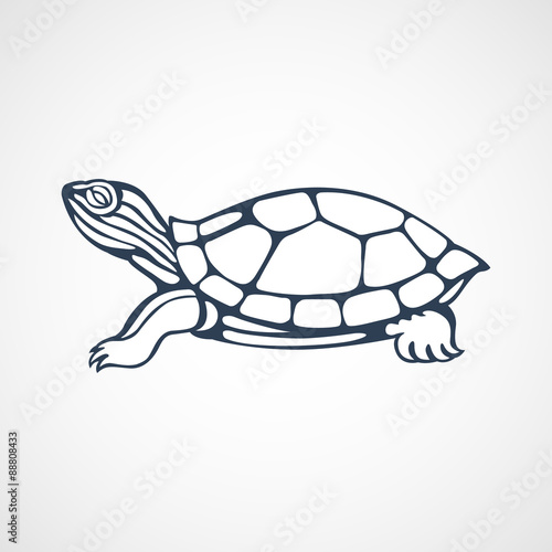 Fototapeta Naklejka Na Ścianę i Meble -  turtle logo