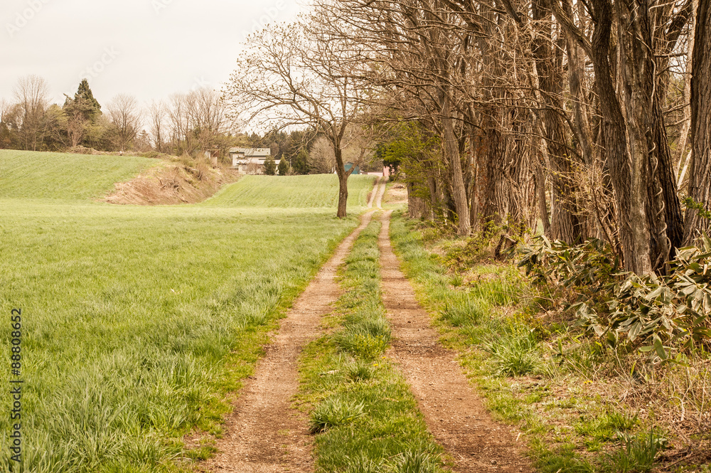 Obraz premium 田舎道