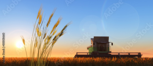 wheat harvester