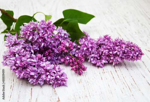 Fototapeta Naklejka Na Ścianę i Meble -  Lilac flowers