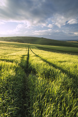 Fototapete Khaki Sommerlicher Sonnenuntergang am Steyning Bowl  © veneratio