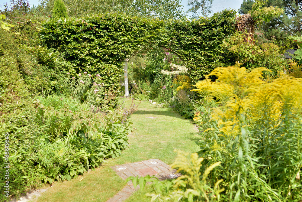 jardin en été