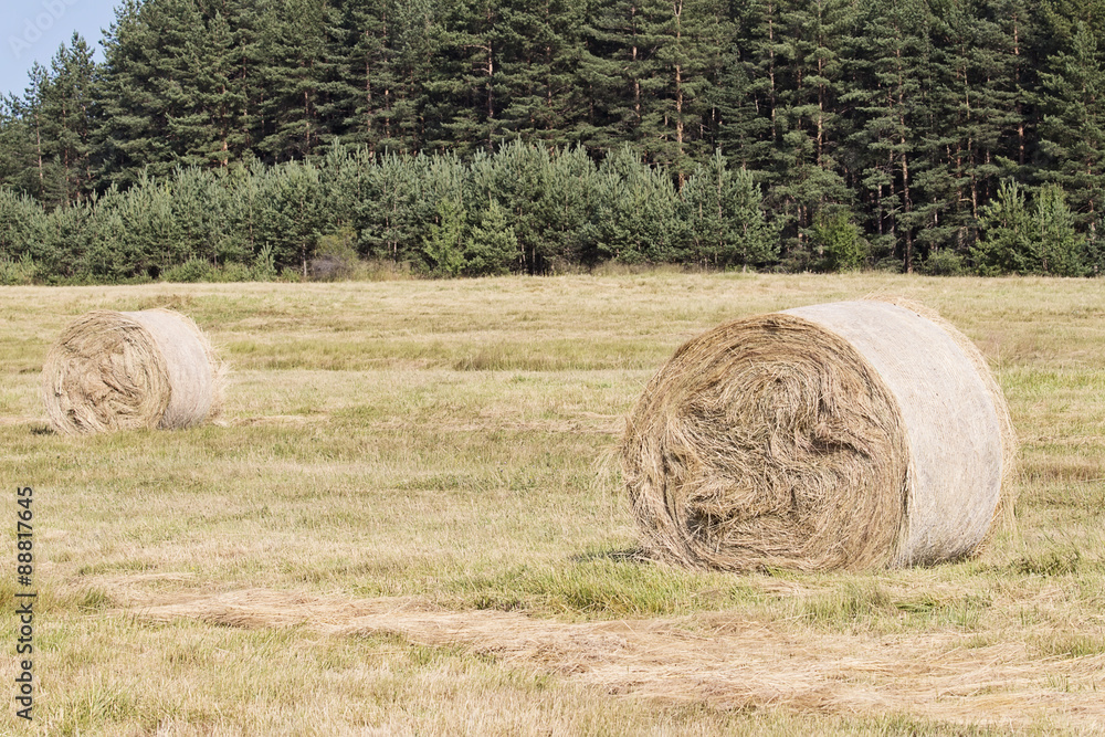 Hay Bales