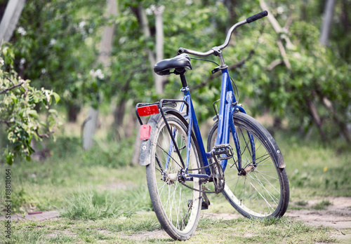 Old bike in the orchard