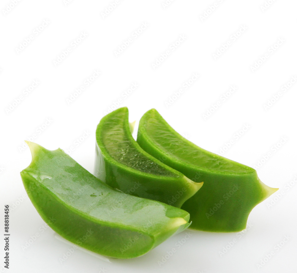 aloe vera aloe vera