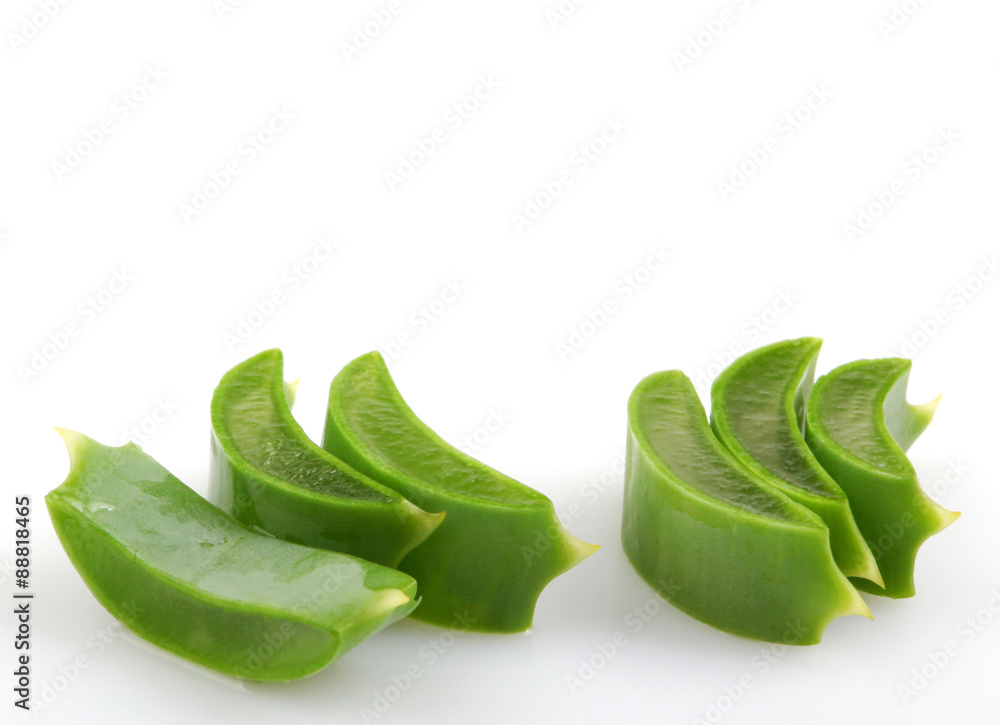 aloe vera aloe vera