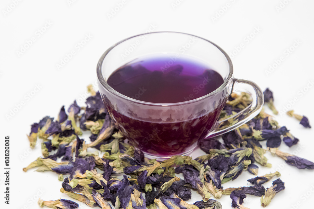 Fototapeta premium Glass of butterfly pea flower tea ,herbal drink