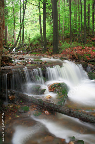 Fototapeta Naklejka Na Ścianę i Meble -  
Waterfall in the national park Sumava,Czech Republic