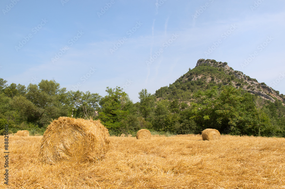 Hay bails in landscape