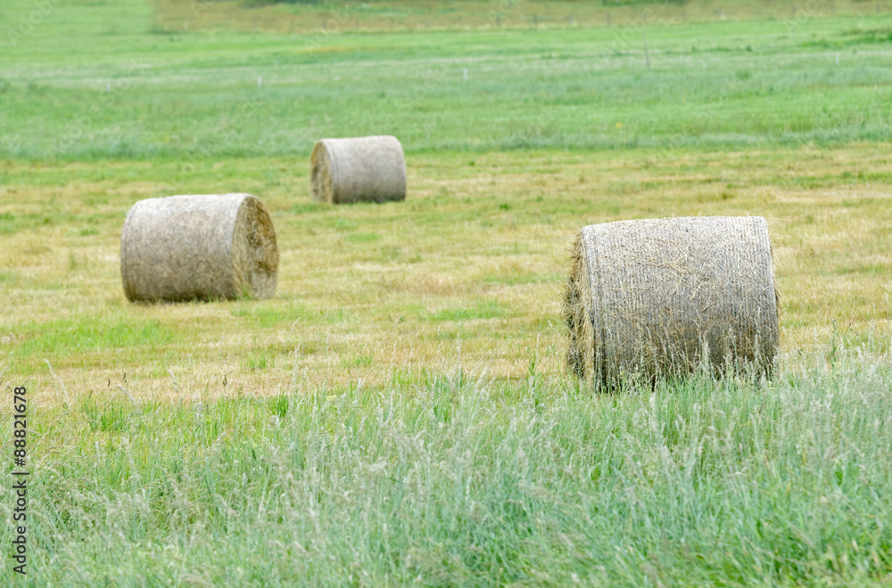 Three hay rolls on a field