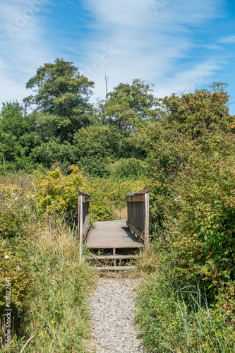 Walking Bridge 2