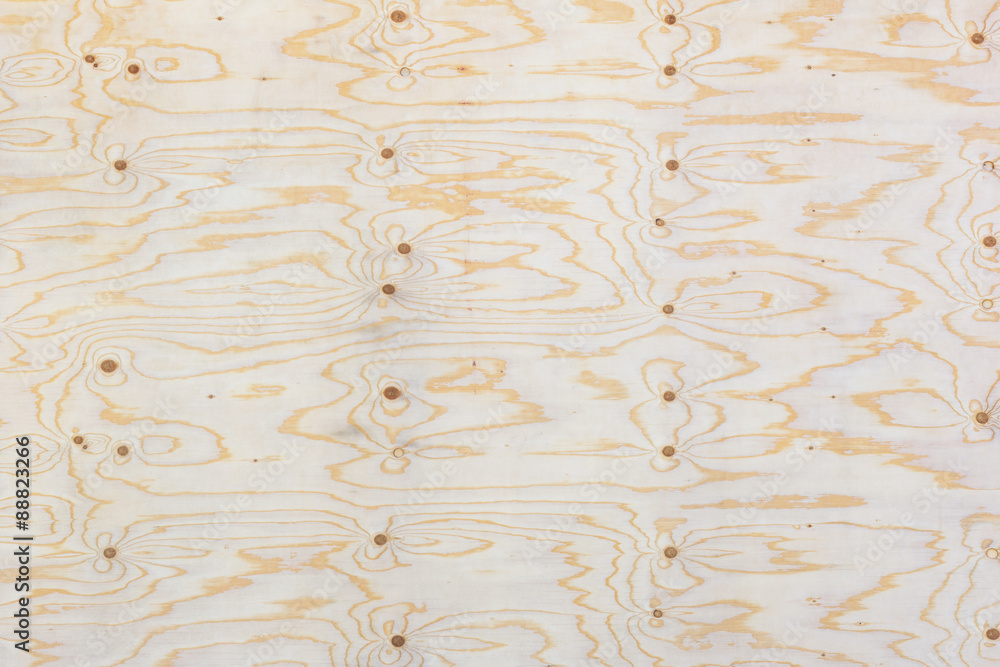 Fototapeta premium Blank plywood texture background