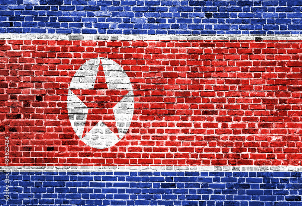 Flag of North Korea painted on brick wall, background texture