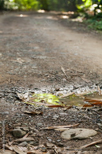 rough dirt road, small dampness pond on dirt road in tropical forest