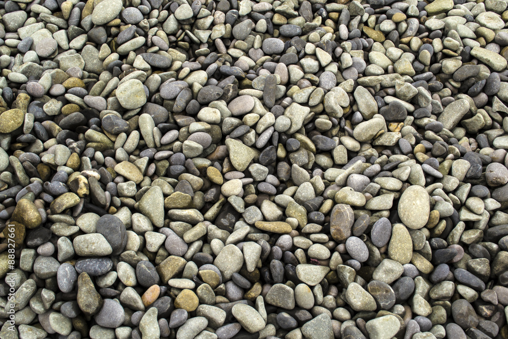 Sea stone Sea stone