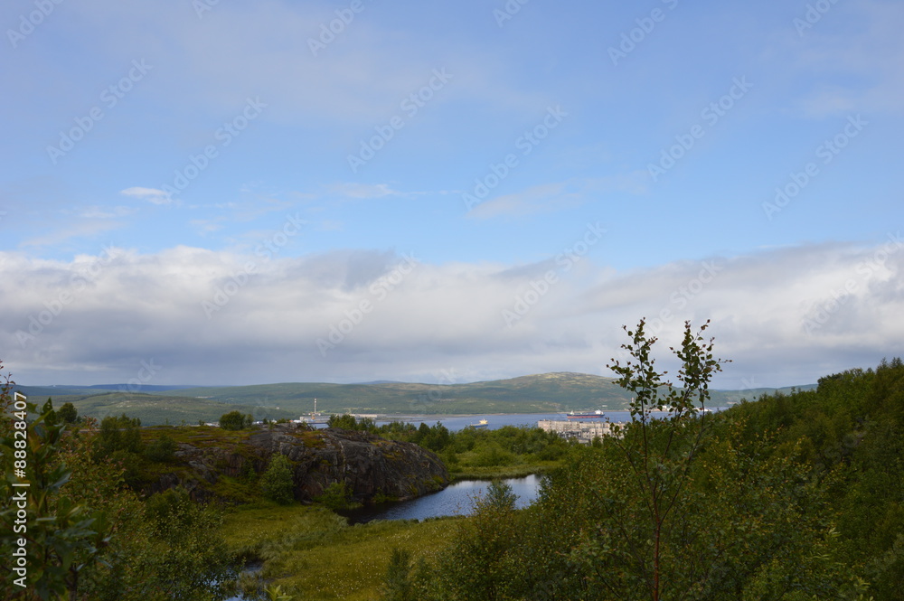 Fototapeta premium Северное лето