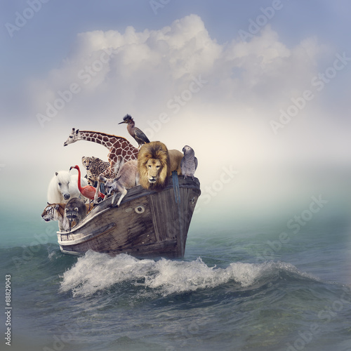 Bild auf Leinwand Animals in a Boat