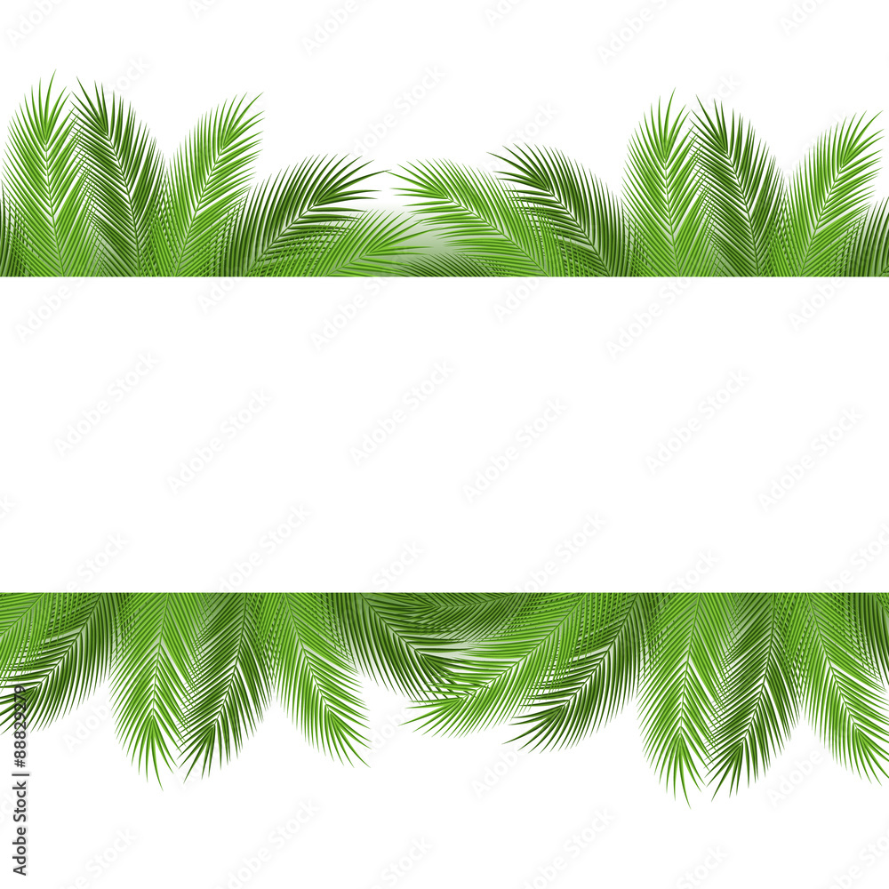 Obraz premium Liście palmy