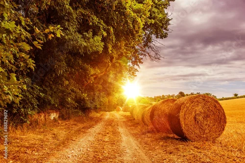Obraz Countryside Summer Road
