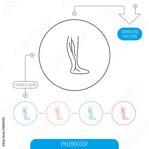 Phlebology icon. Leg veins sign.