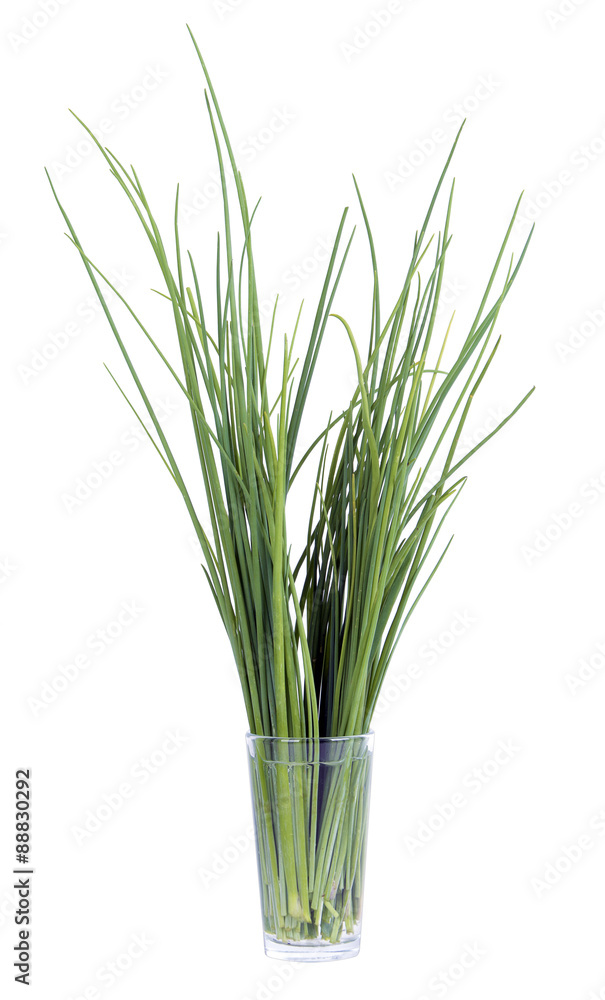 chives in a glass