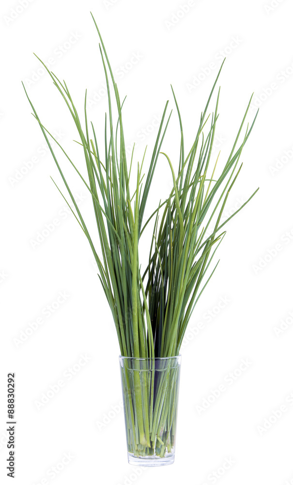 chives in a glass chives in a glass