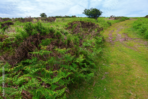 Landschaft in den Quantock Hills in Somerset, England photo