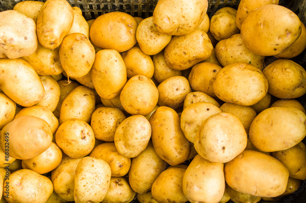 White new potatoes at the market White new potatoes at the market