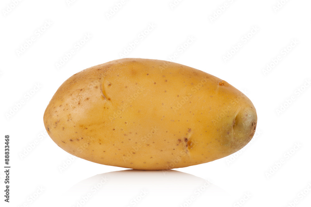 potato on white background
