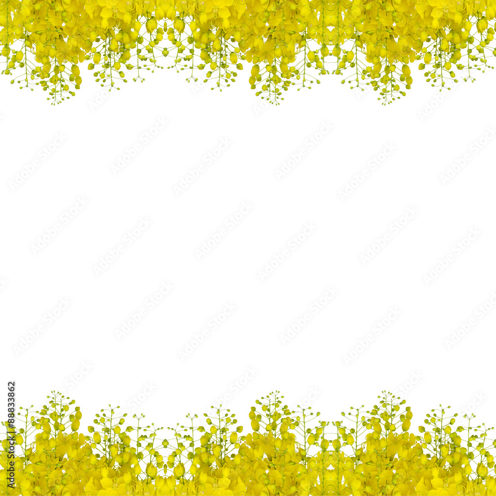 Obraz premium Cassia fistula flower seamless pattern background