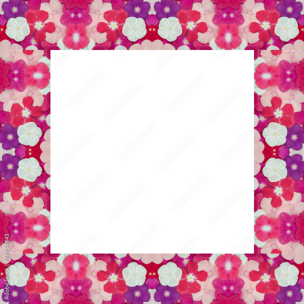 periwinkle frame isolated on white background