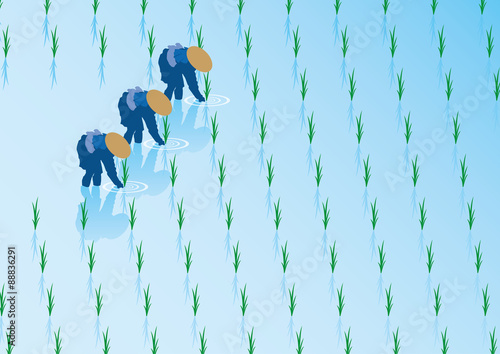 田植え