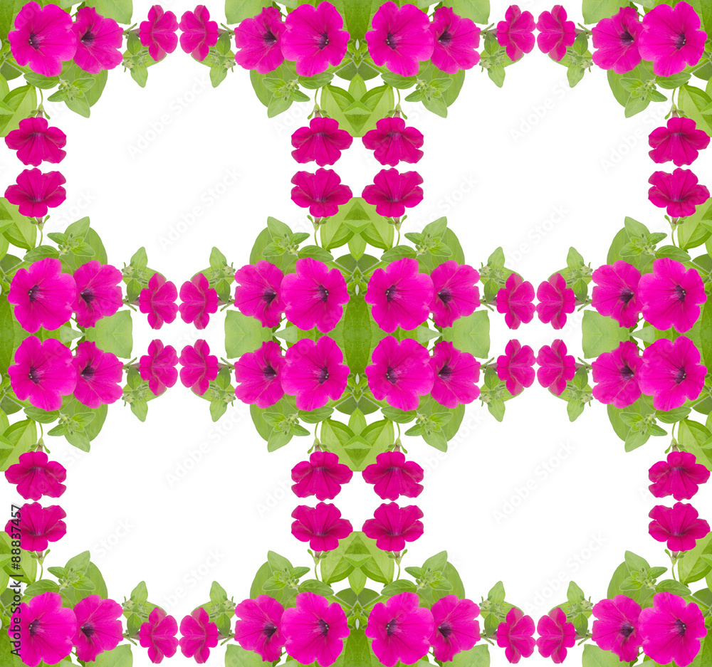 petunia seamless pattern  isolated on white background