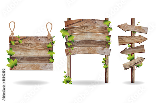 Wooden signs with green leaves decorative elements, Vector 