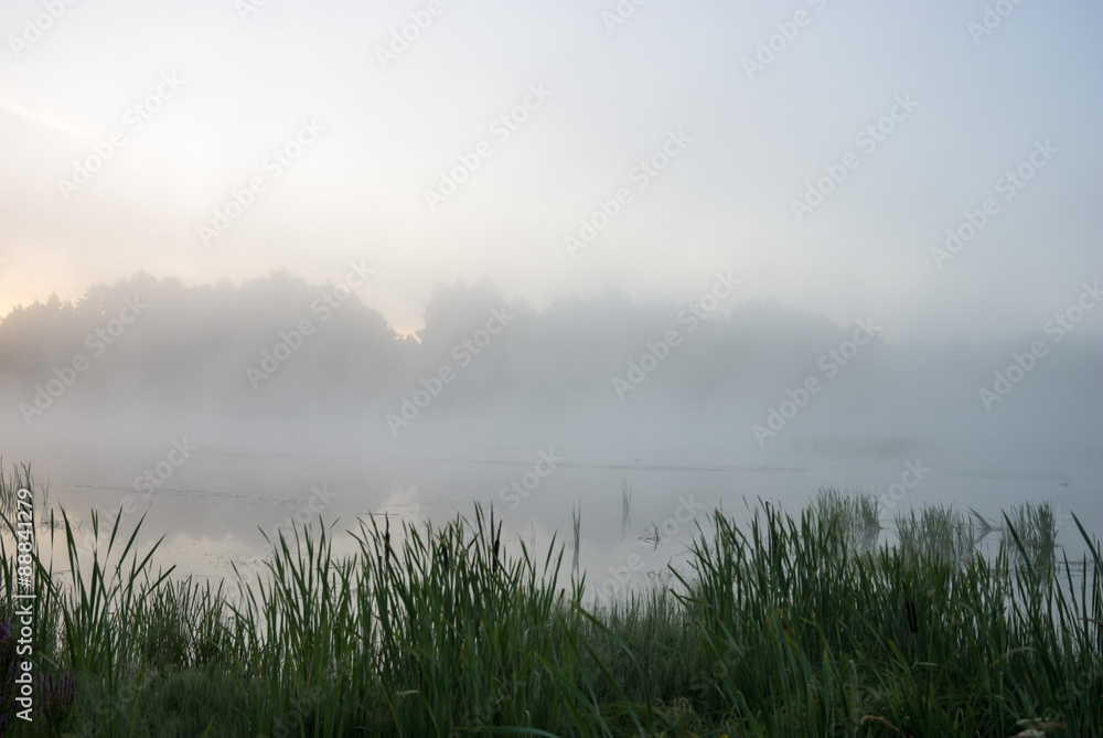 Fototapeta premium river