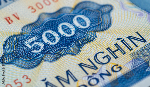 Banknote in five thousand Vietnamese dong close up